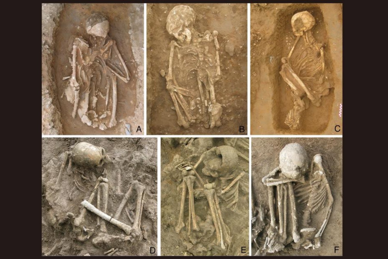 Las momias más antiguas del planeta estaban donde nadie miraba. Un hallazgo de 12.000 años en el sudeste asiático cambió la arqueología y es, según National Geographic, el descubrimiento del año