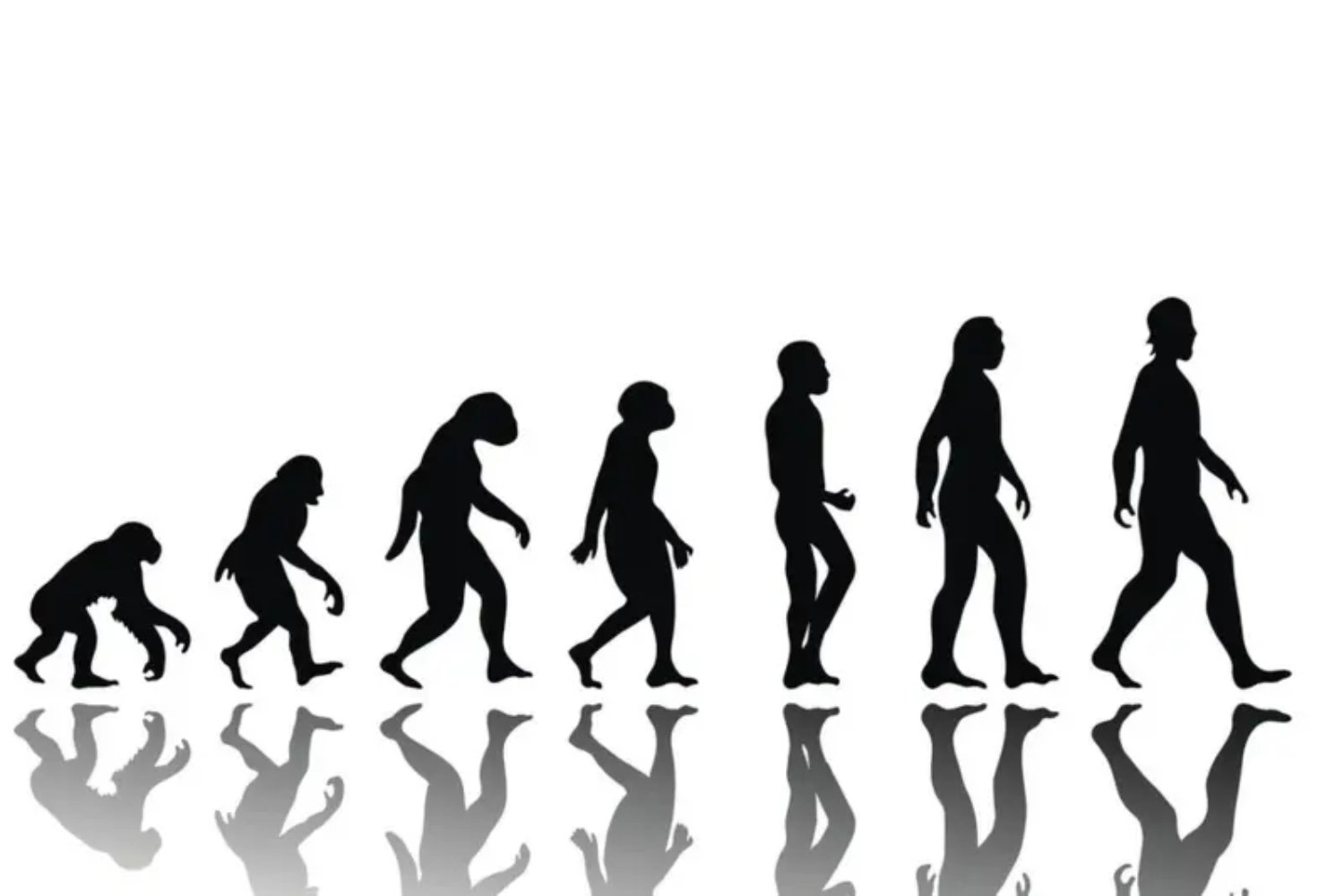 La evolución humana se ha quedado corta frente al mundo que hemos creado. Un nuevo estudio explica cómo nuestro cuerpo sigue anclado al Paleolítico mientras la vida moderna dispara estrés crónico y deterioro biológico