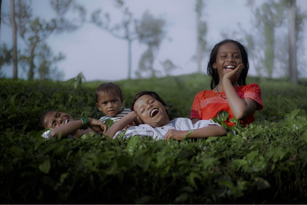 Contar medio hermanos puede revelar qué tan monógama es una especie. Y en ese ranking global, los humanos quedan por debajo de castores, lobos etíopes y un pequeño ratón de California