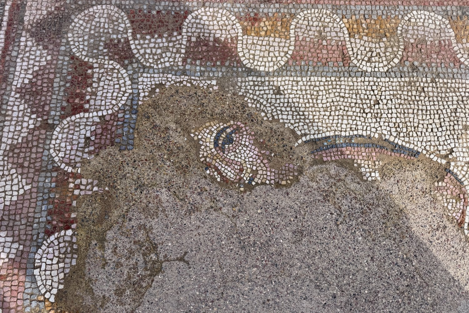 Lo lógico es pensar que de las ciudades romanas ya no quedan sorpresas, pero este mosaico del siglo IV acaba de desmontar esa idea