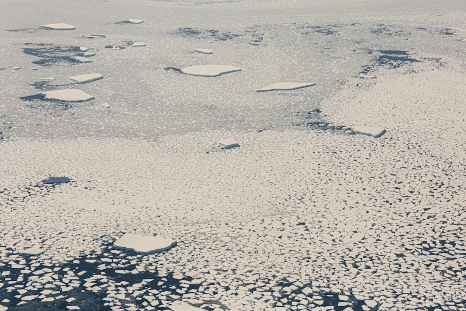 Vivimos en una bajamar geológica. La ciencia advierte que el mar volverá y que todo depende del momento en que la Antártida Occidental comience a desmoronarse