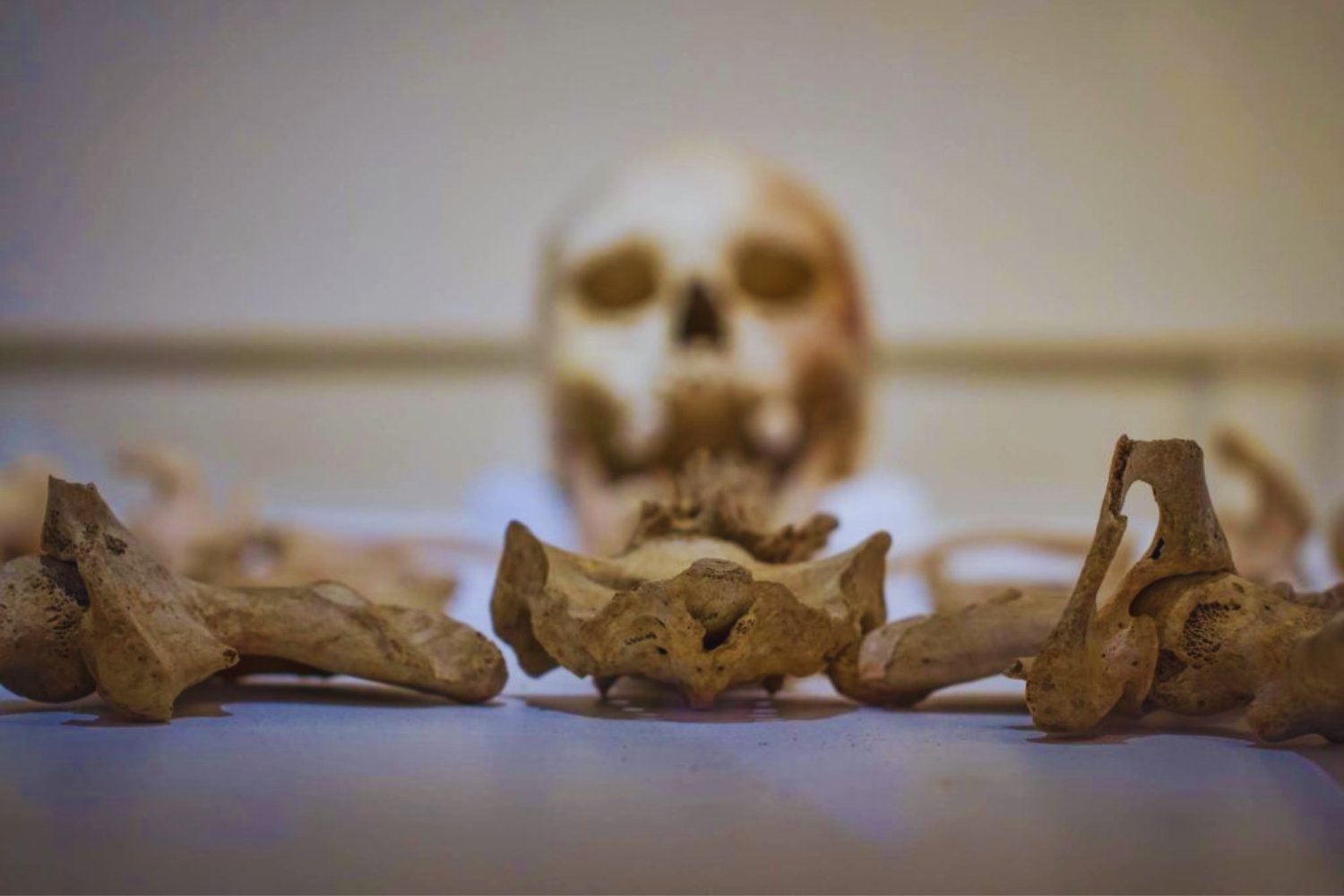 La mujer romana de Beachy Head no era quien pensábamos. Cómo el ADN antiguo cambió una de las historias más citadas de la arqueología británica