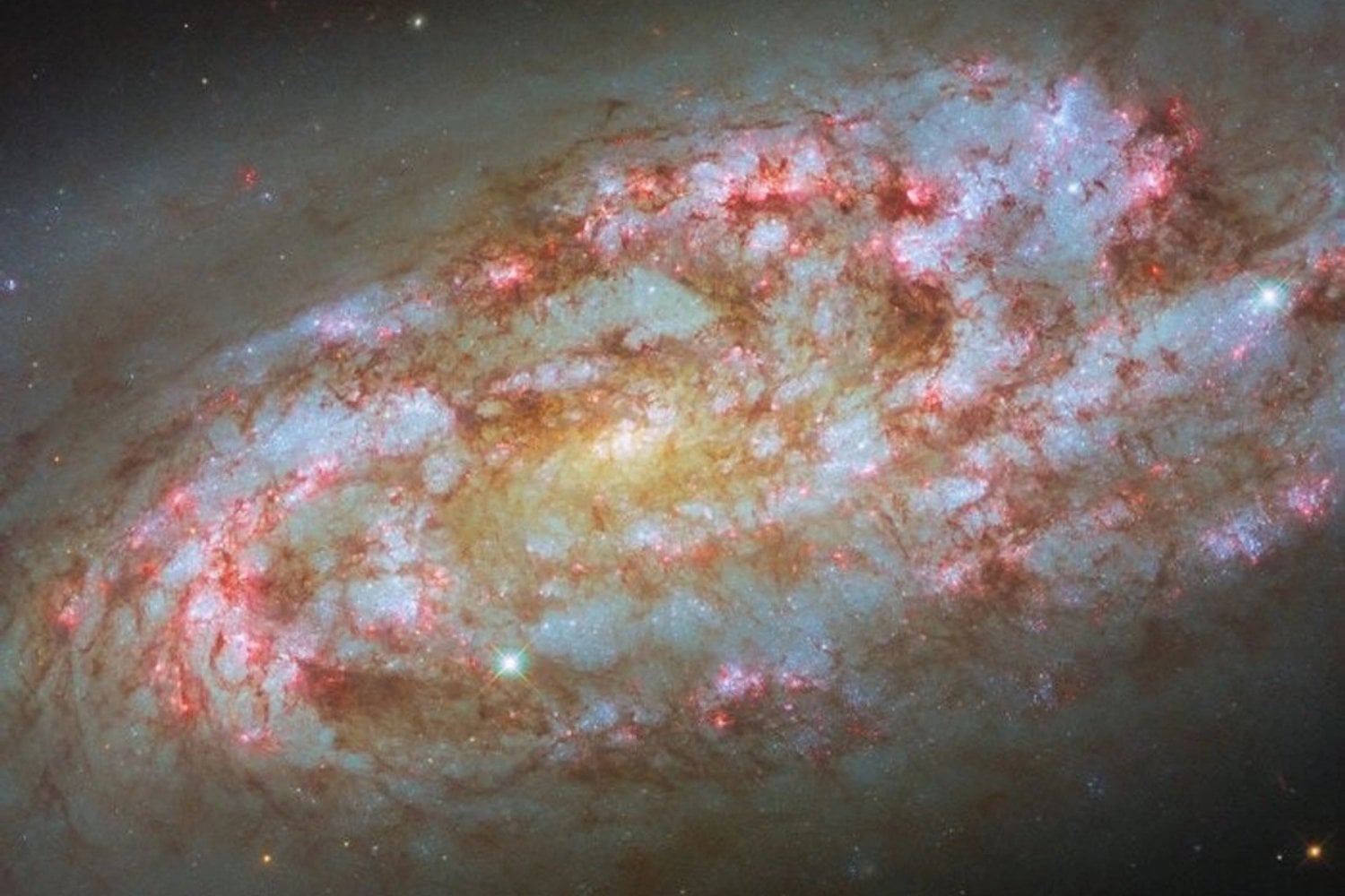 Una tormenta cósmica capturada a 50 millones de años luz. Lo que el Hubble ha visto en la galaxia NGC 1792 es un laboratorio vivo de nacimientos estelares