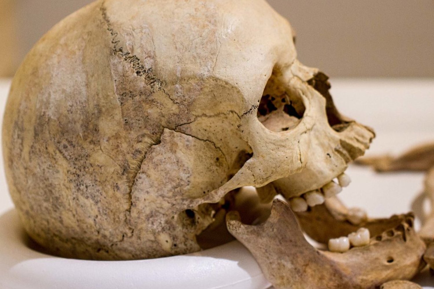 La mujer romana de Beachy Head no era quien pensábamos. Cómo el ADN antiguo cambió una de las historias más citadas de la arqueología británica