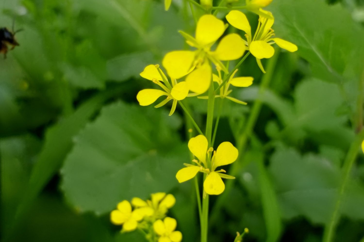 Diseño Sin Título (19)