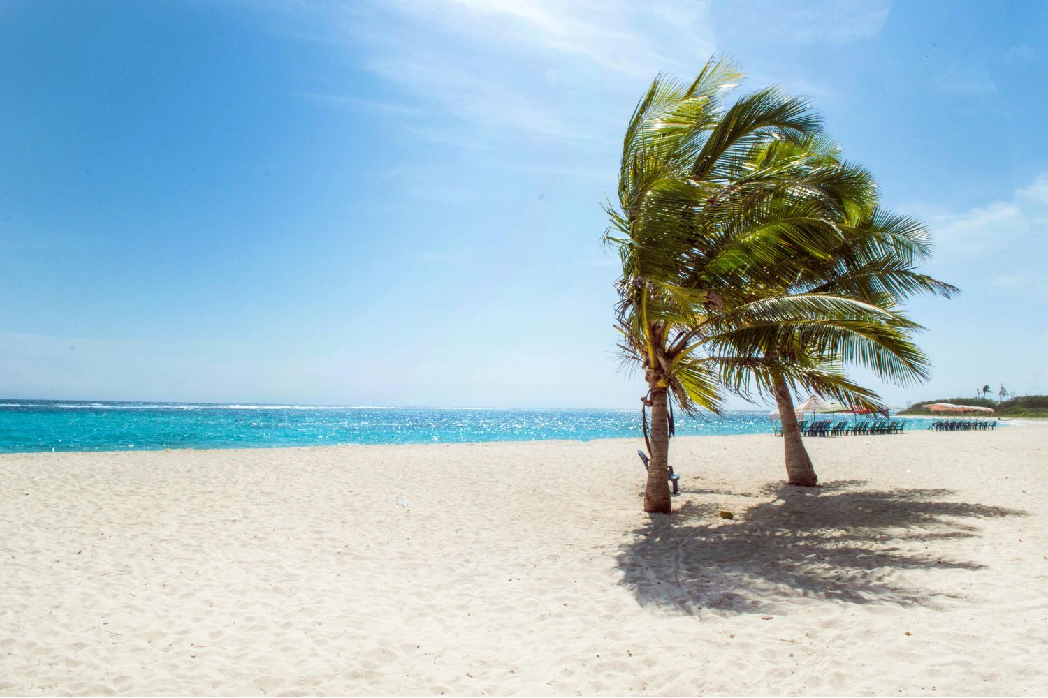 Diseño Sin Título 2025 12 01t150748.971