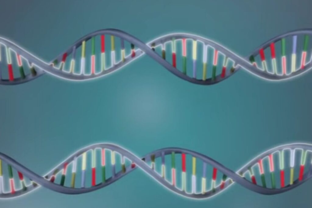 Diseño Sin Título 2025 12 01t224642.565