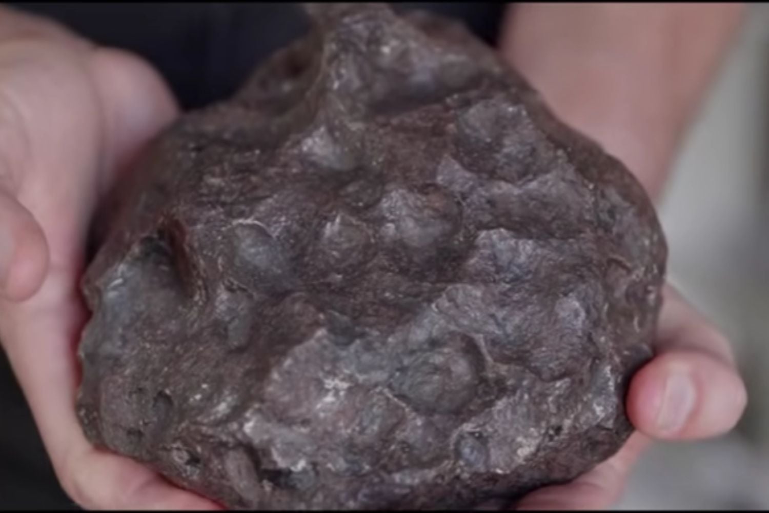 Diseño Sin Título 2025 12 06t110701.838