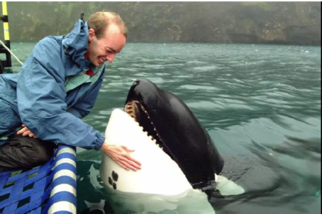 Diseño Sin Título 2025 12 17t094336.955