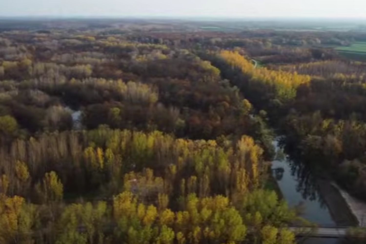 Diseño Sin Título 2025 12 17t155754.420