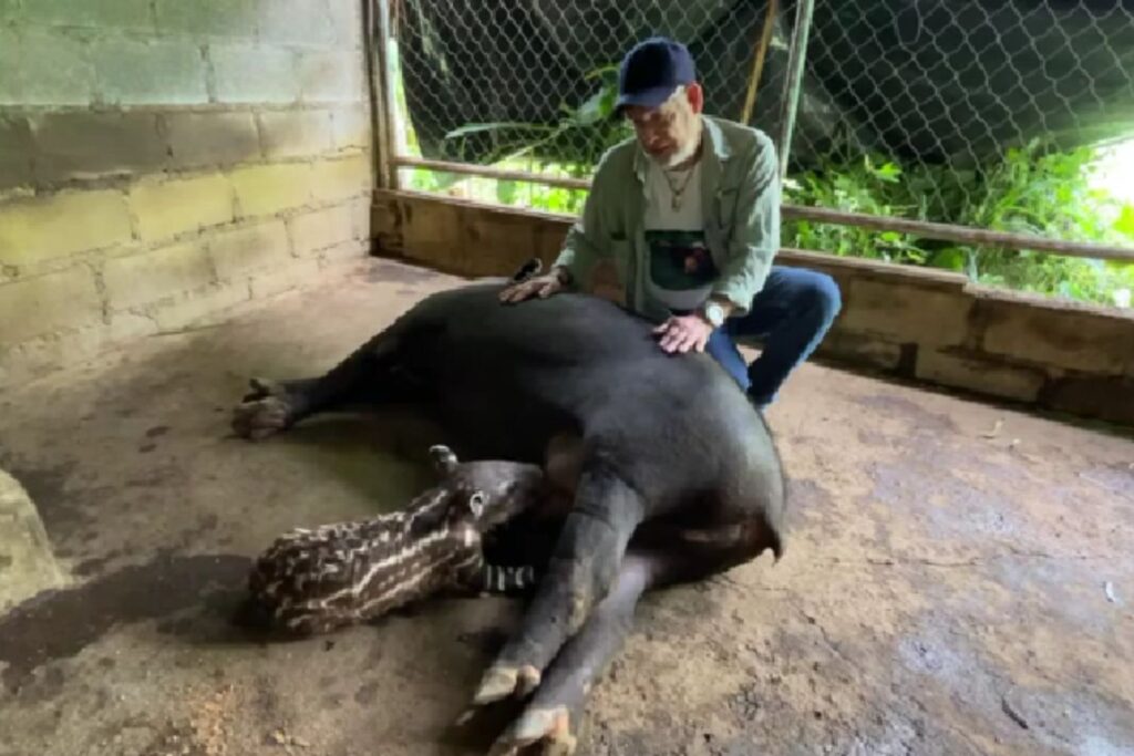 Diseño Sin Título 2025 12 17t181328.886