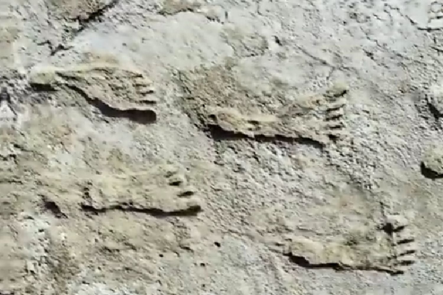 Diseño Sin Título 2025 12 19t170918.590