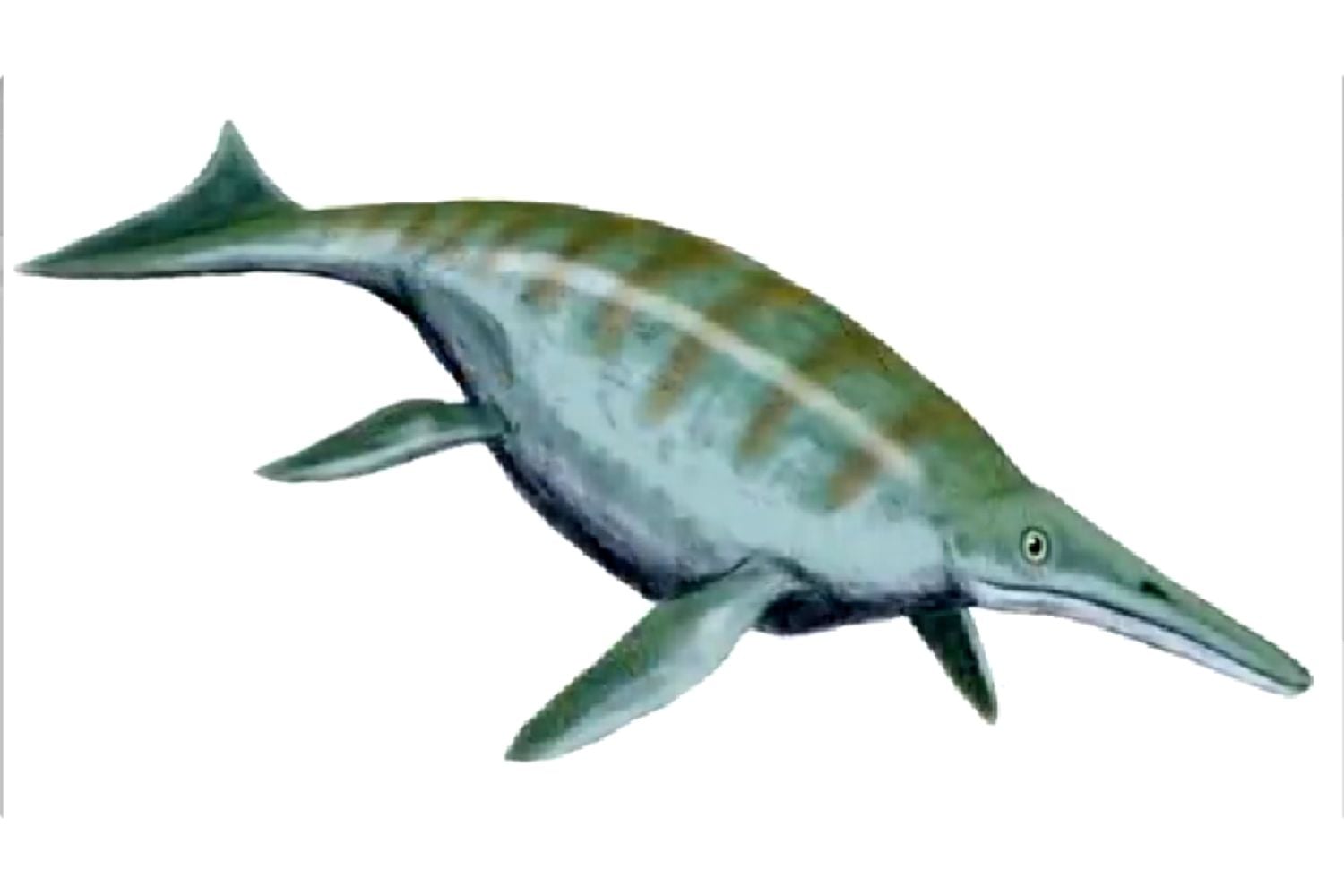 Diseño Sin Título 2025 12 20t120118.268