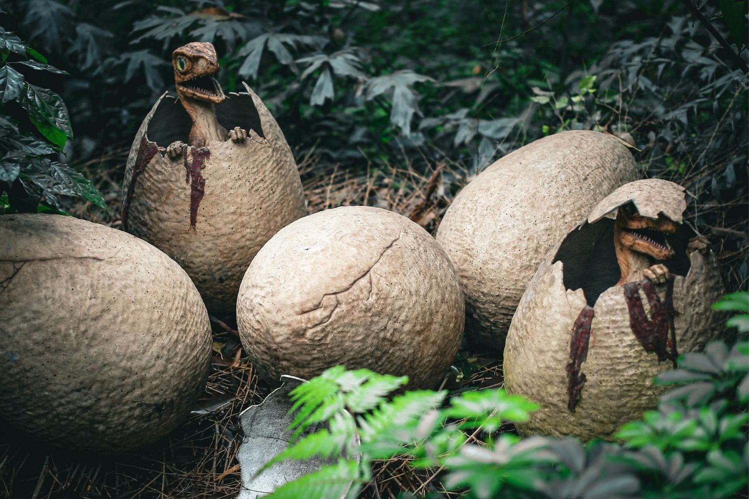 Diseño Sin Título 2025 12 24t082638.622