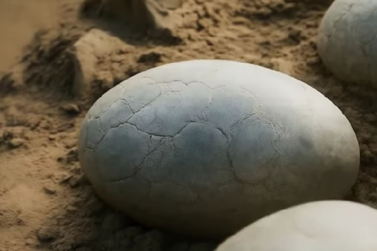 Diseño Sin Título 2025 12 24t082938.855