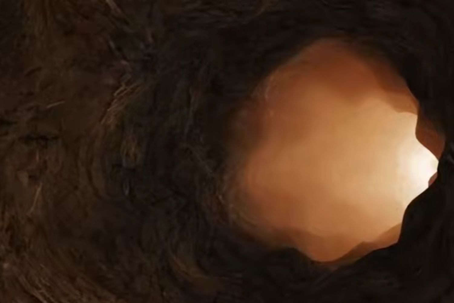 Diseño Sin Título 2025 12 24t084242.451