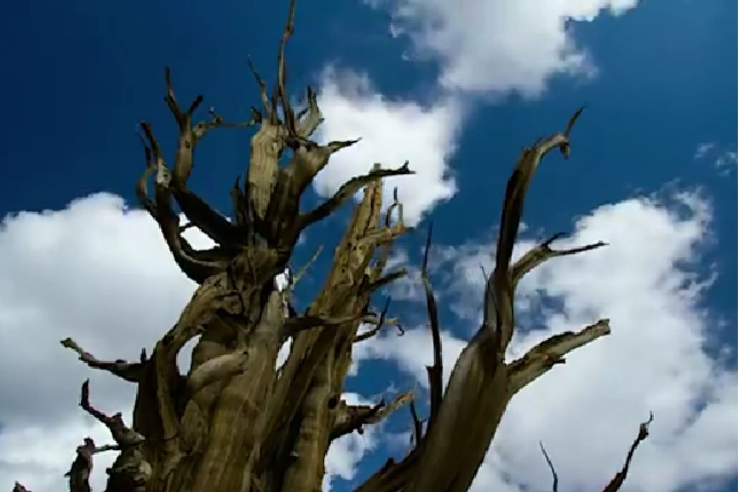 Diseño Sin Título 2025 12 24t094721.538