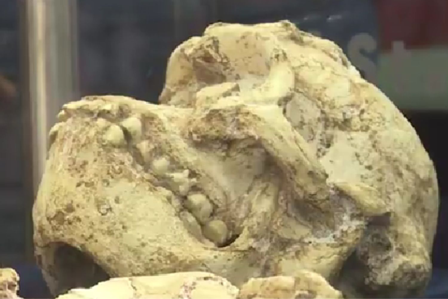 Diseño Sin Título 2025 12 26t112313.767