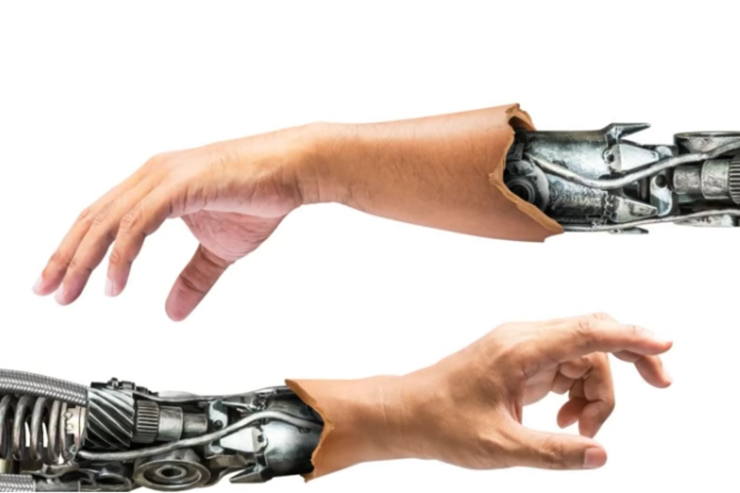 Diseño Sin Título 2025 12 31t124926.692