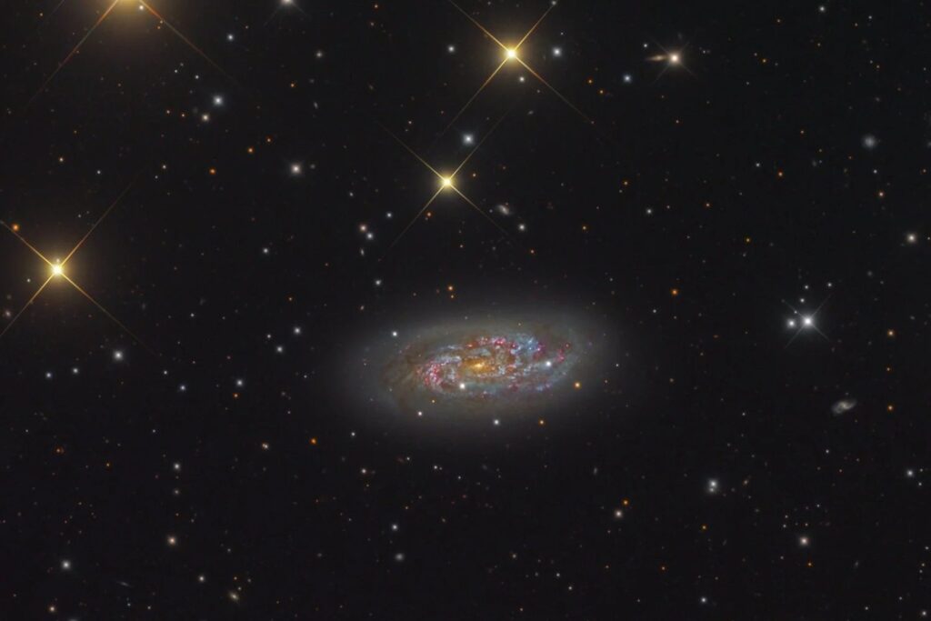 Una tormenta cósmica capturada a 50 millones de años luz. Lo que el Hubble ha visto en la galaxia NGC 1792 es un laboratorio vivo de nacimientos estelares