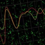 Las bacterias también “saben” qué hora es. Un descubrimiento del Conicet cambia cómo entendemos las infecciones