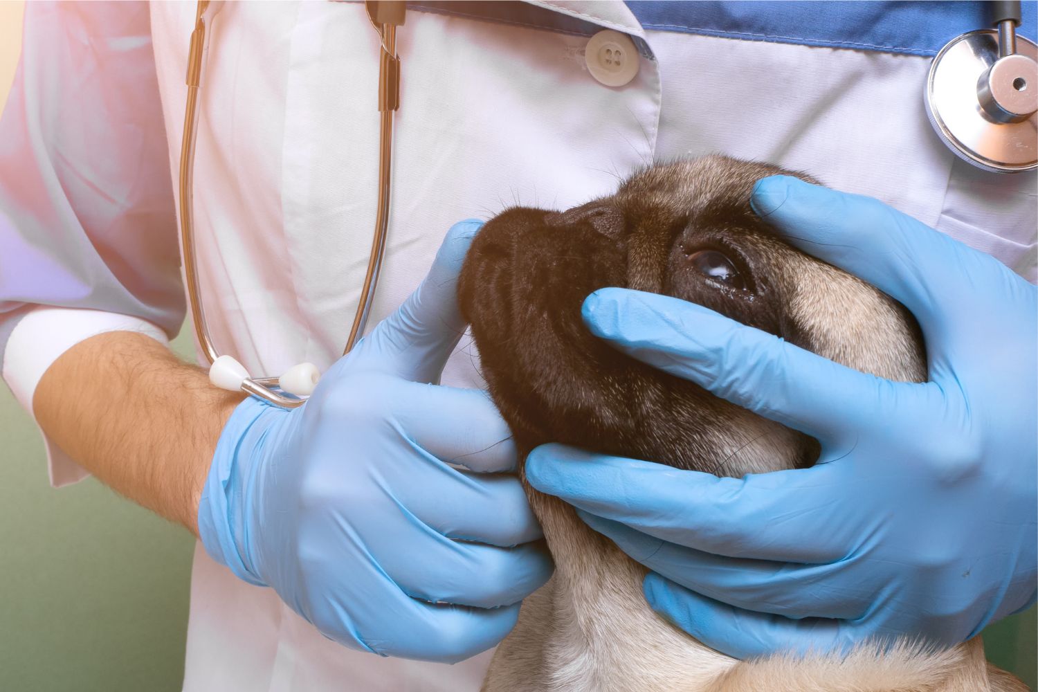 Diseño Sin Título (23)