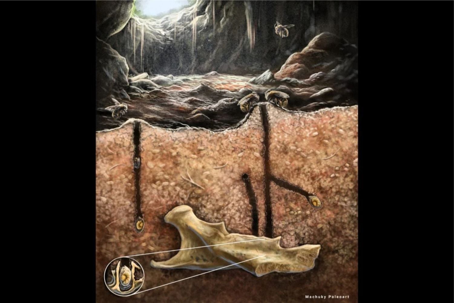 Diseño Sin Título (23)