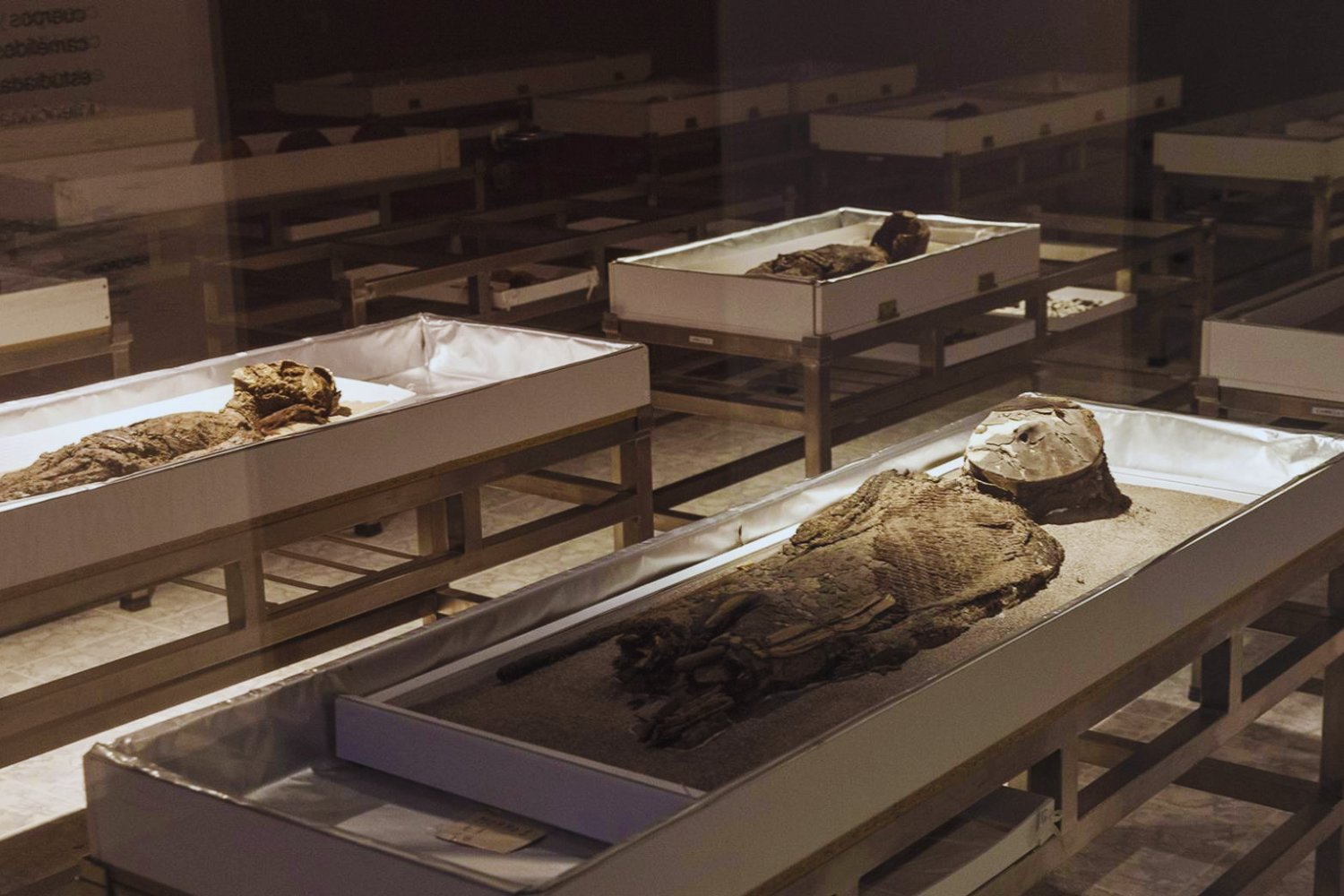 Las momias prehistóricas de Atacama tenían cerebros un 12&nbsp;% más pequeños. La ciencia acaba de confirmar la verdadera causa y es mucho más humana de lo que creíamos