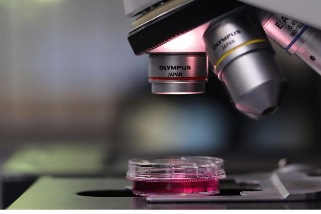 Diseño Sin Título (24)