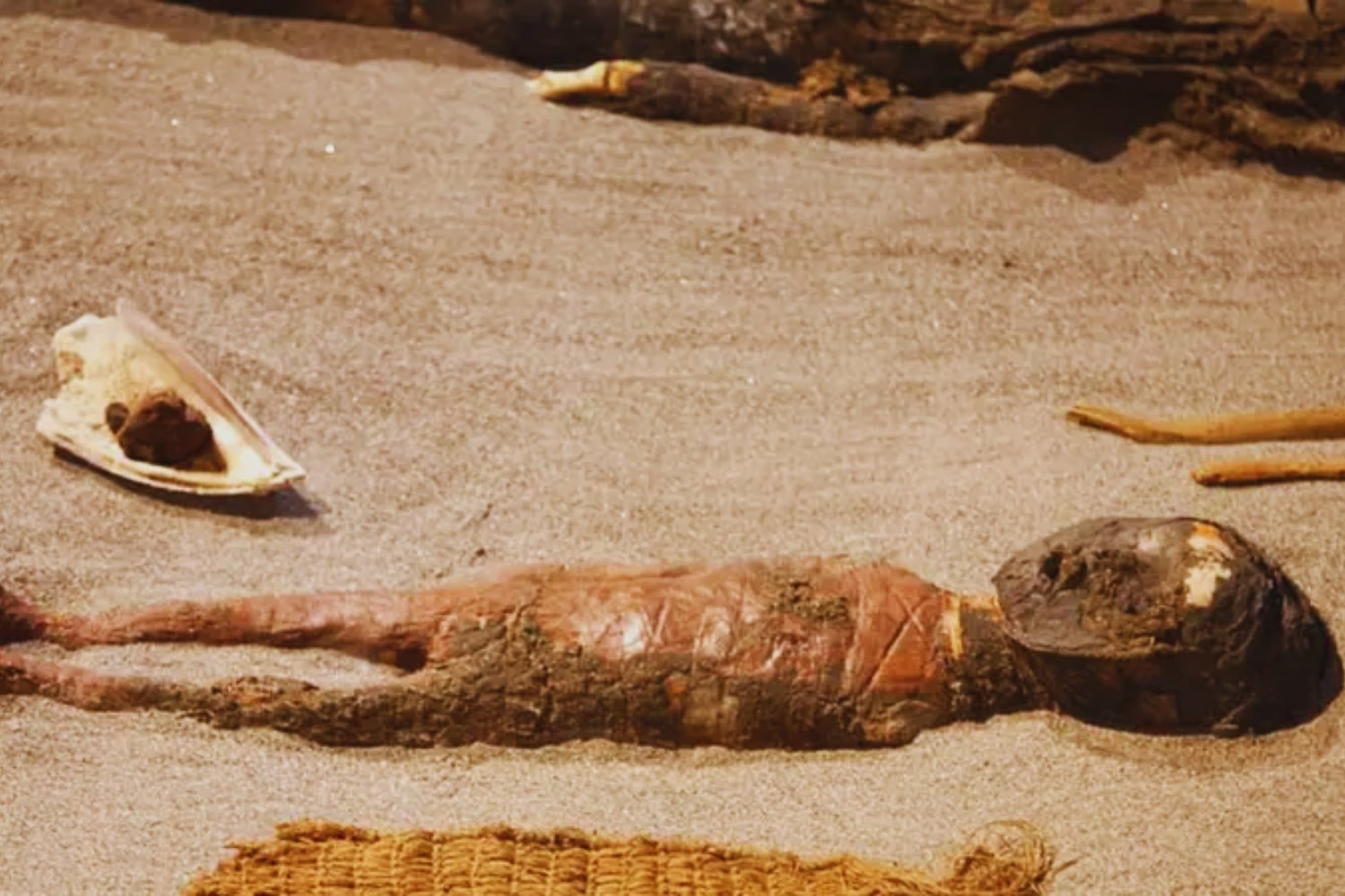 Las momias prehistóricas de Atacama tenían cerebros un 12&nbsp;% más pequeños. La ciencia acaba de confirmar la verdadera causa y es mucho más humana de lo que creíamos