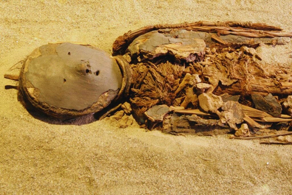 Las momias prehistóricas de Atacama tenían cerebros un 12 % más pequeños. La ciencia acaba de confirmar la verdadera causa y es mucho más humana de lo que creíamos