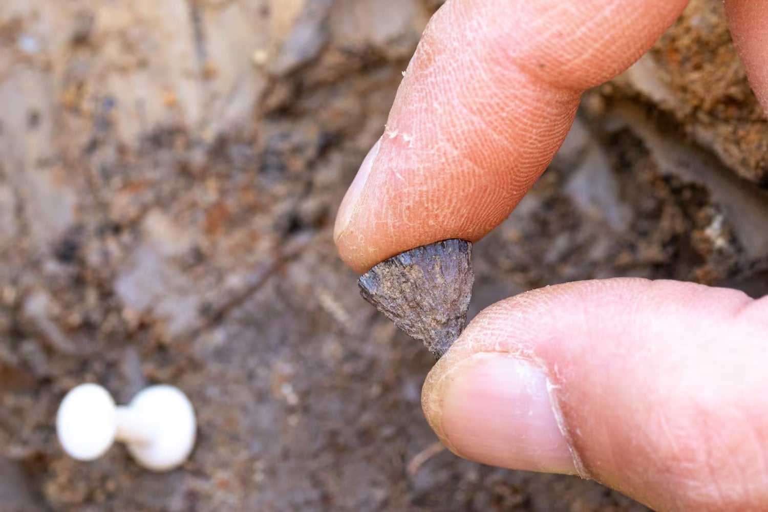 Los neandertales encendieron el primer fuego de la humanidad. Y lo hicieron 350.000 años antes de lo que creíamos