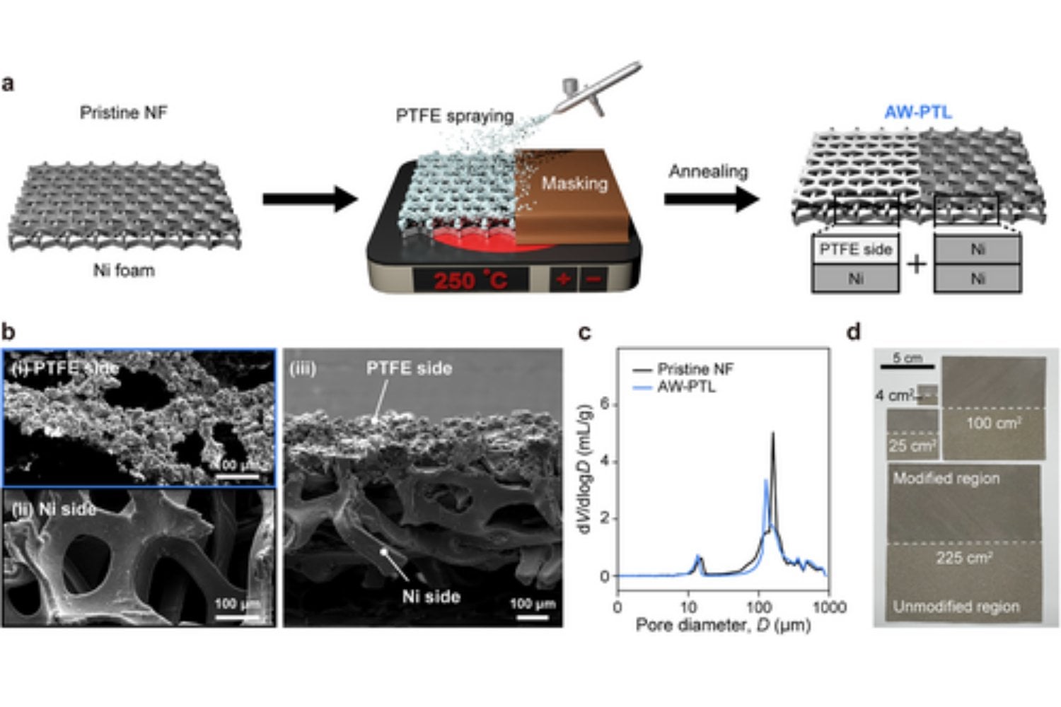 Un simple recubrimiento de teflón está cambiando cómo se produce hidrógeno por electrólisis. El avance resuelve un problema que llevaba años aceptándose como inevitable