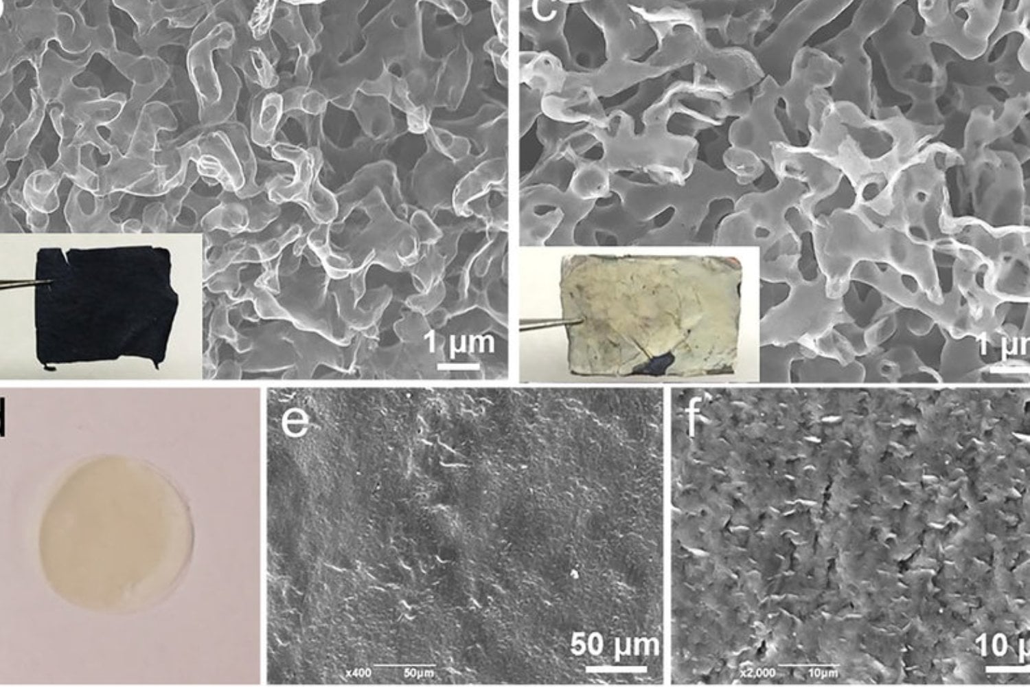 Un simple recubrimiento de teflón está cambiando cómo se produce hidrógeno por electrólisis. El avance resuelve un problema que llevaba años aceptándose como inevitable