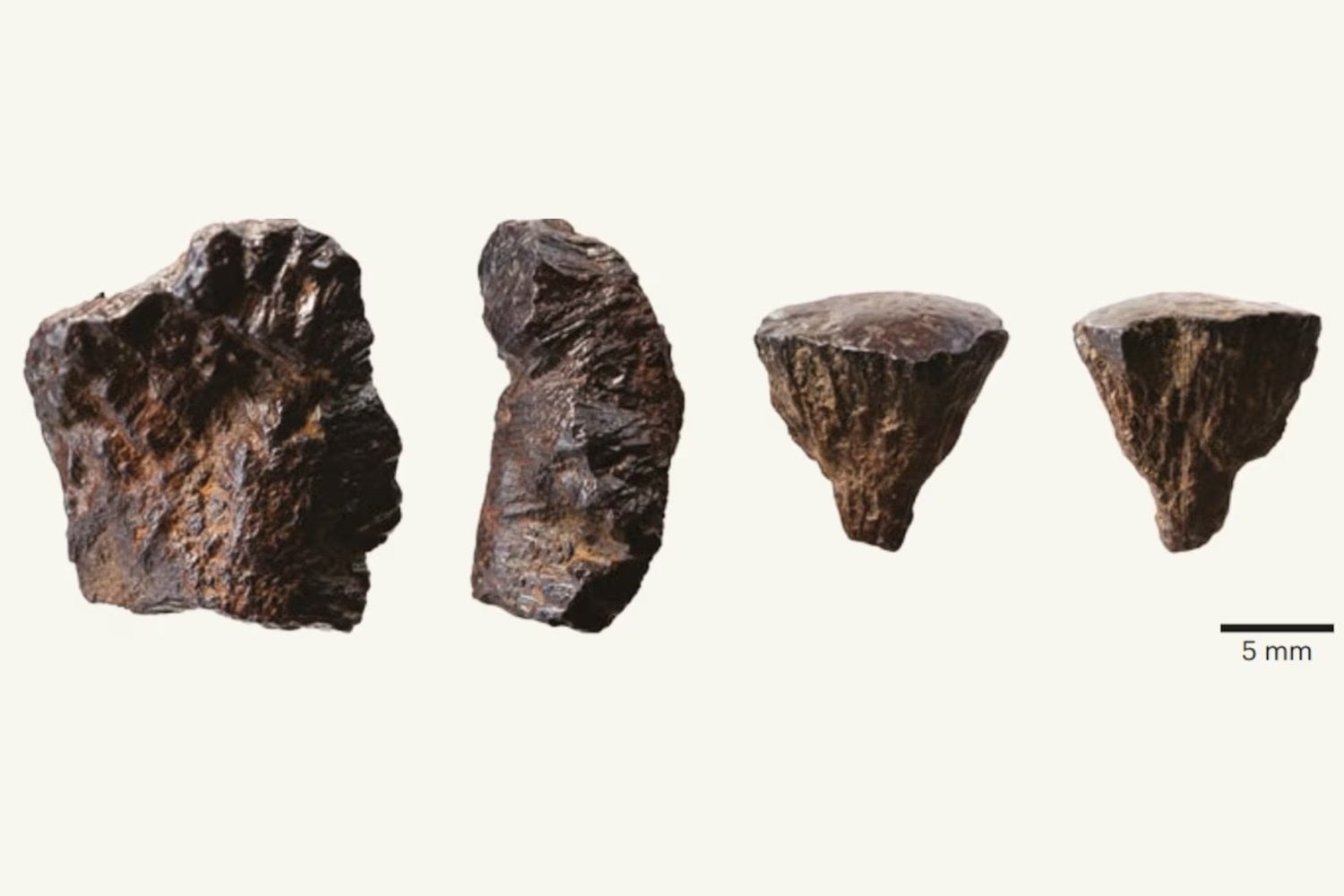 Los neandertales encendieron el primer fuego de la humanidad. Y lo hicieron 350.000 años antes de lo que creíamos