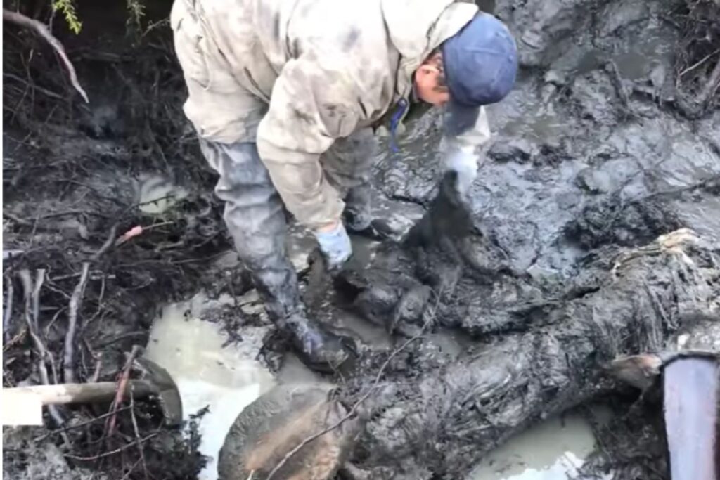 Diseño Sin Título (32)