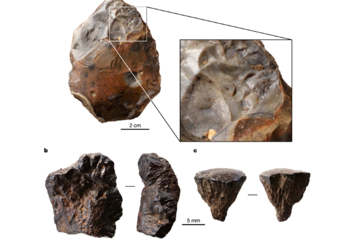 Los neandertales encendieron el primer fuego de la humanidad. Y lo hicieron 350.000 años antes de lo que creíamos