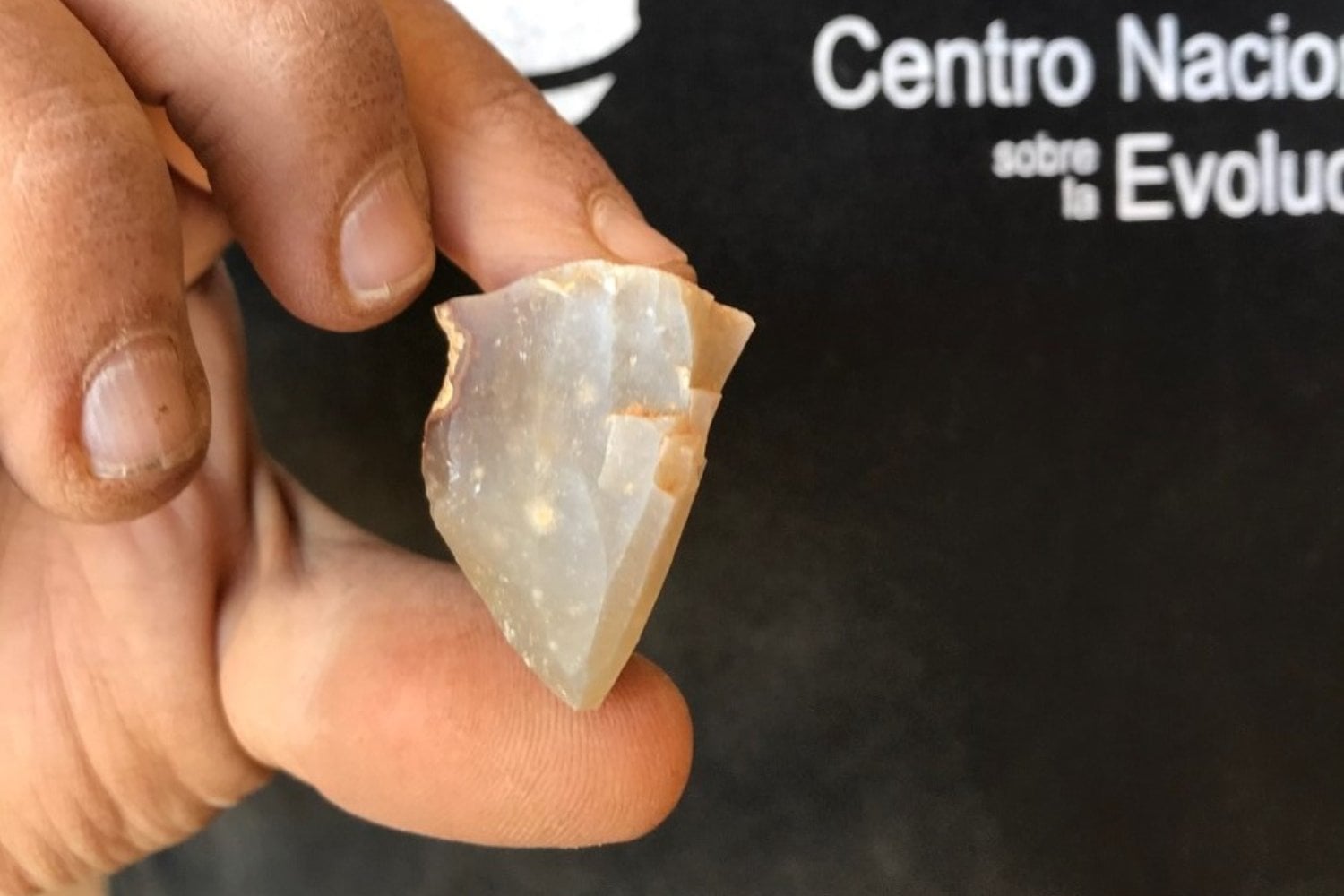 El “desierto humano” del Paleolítico no existió. Un yacimiento en Tamajón revela ocupaciones continuadas durante 10.000 años y cambia lo que creíamos saber sobre los primeros Homo sapiens de la península ibérica.