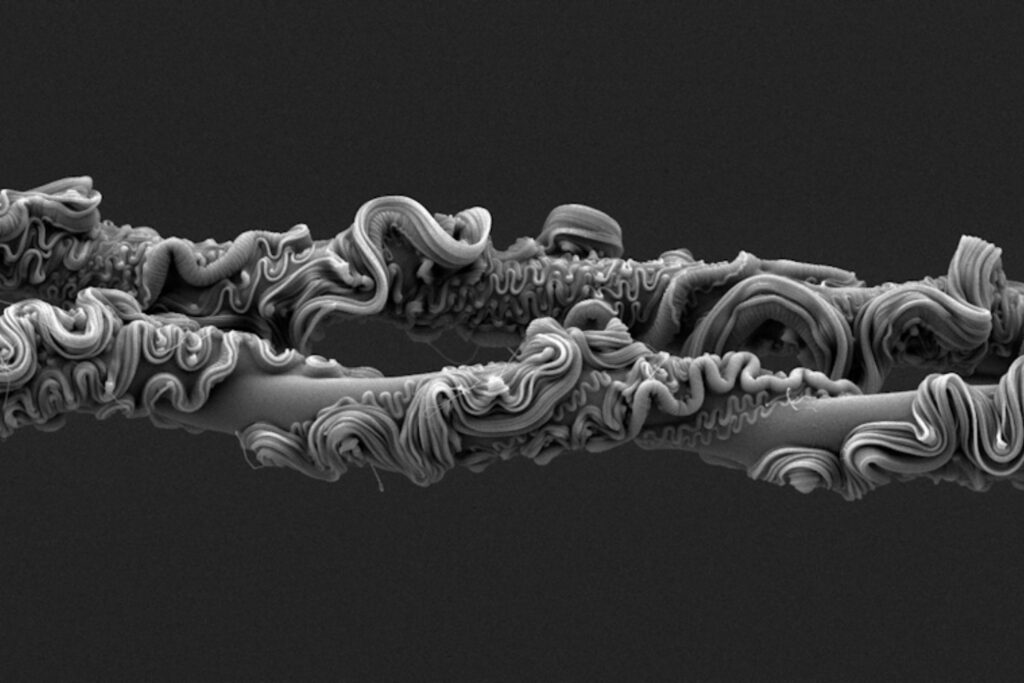 Creemos saber cómo es una telaraña, hasta que un microscopio la convierte en una obra de ingeniería