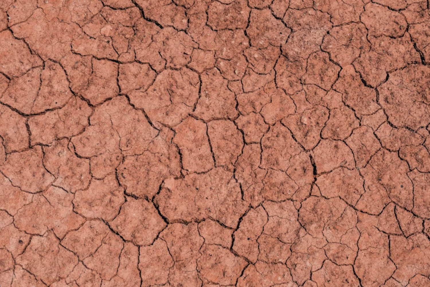 Creíamos que el verdor de los cultivos demostraba que la desertificación estaba bajo control. El Atlas de la Desertificación revela que ese verde era un espejismo alimentado por acuíferos al límite