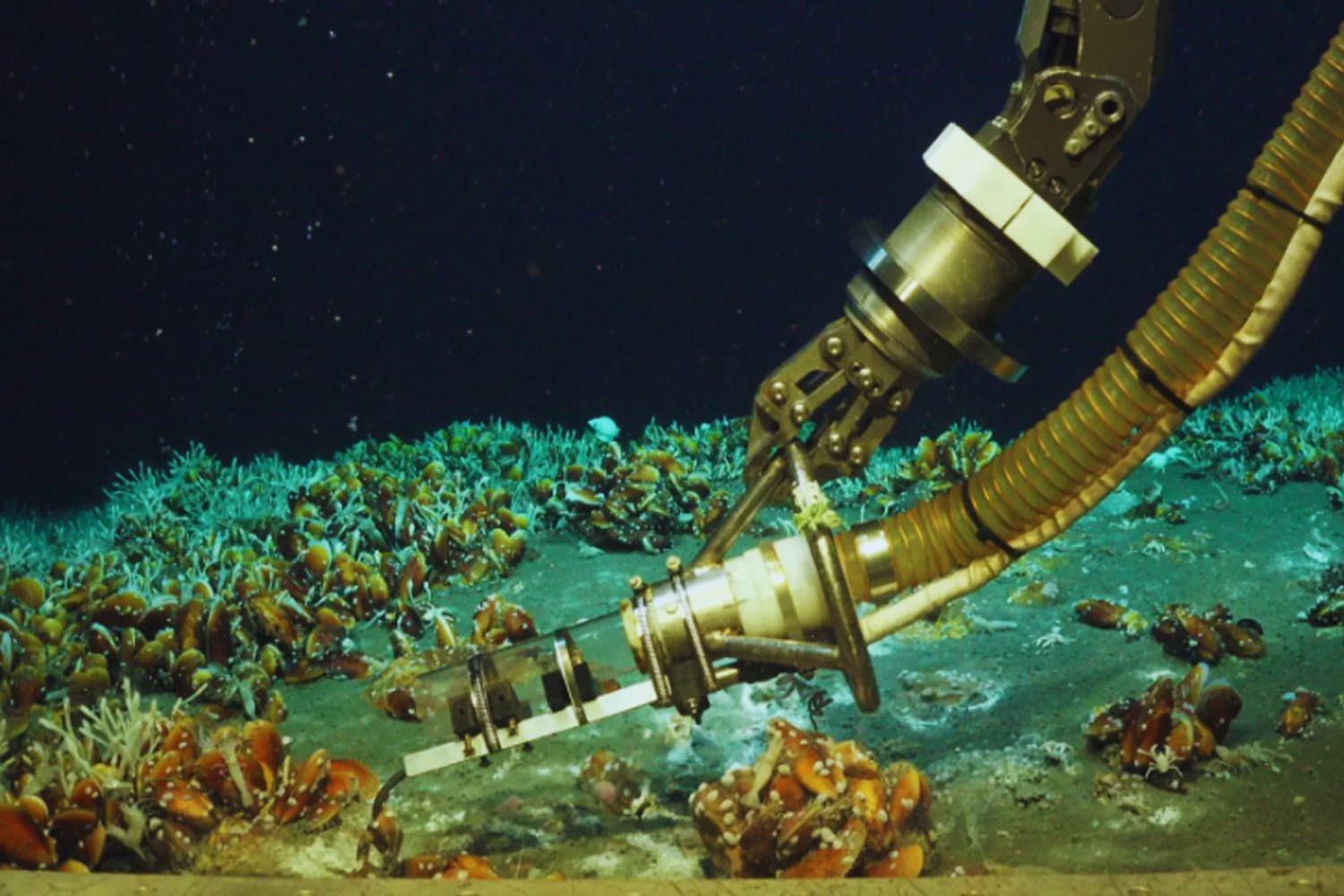 Descubren un ecosistema profundo donde agua hirviendo y metano helado conviven a centímetros. Es la biología más parecida a la que podrían ocultar las lunas heladas de Saturno