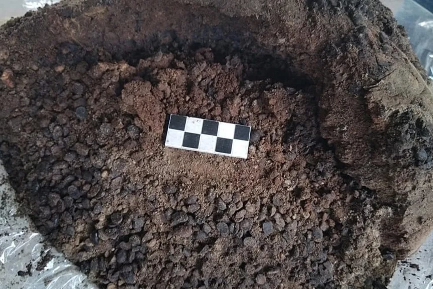 Pompeya revela un detalle incómodo sobre la esclavitud romana. Algunos esclavos comían mejor que muchos ciudadanos libres