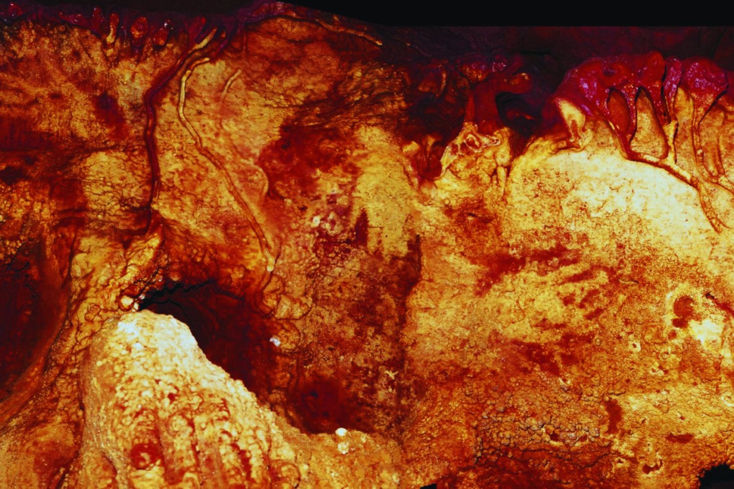 Quizá llevamos más de un siglo mirando mal las cuevas prehistóricas. Una hipótesis sostiene que sus signos eran mapas