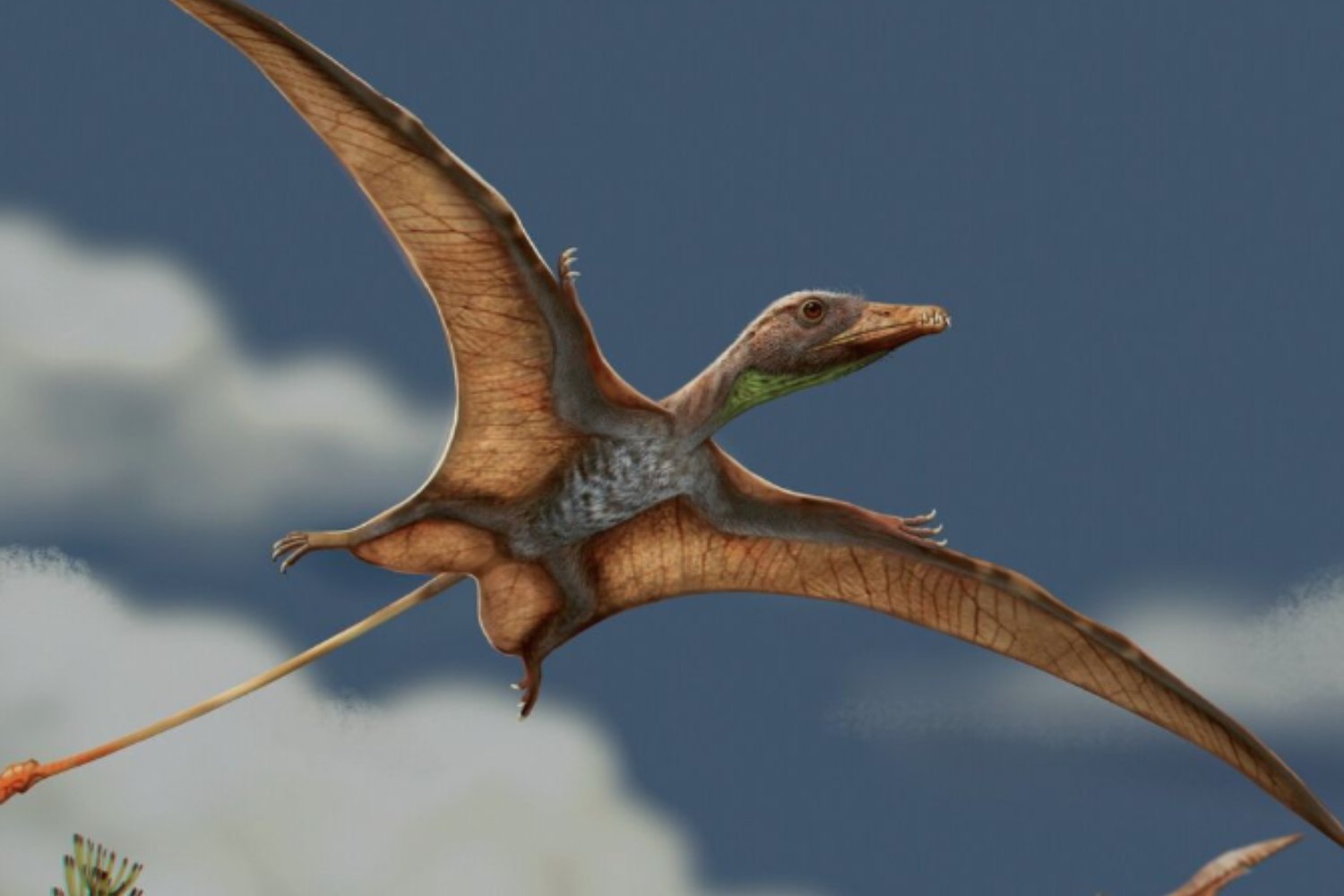 Un fósil de 233 millones de años en Brasil revela cómo los pterosaurios desarrollaron un cerebro capaz de volar. La neuroanatomía del primer reptil alado surgió desde cero y no se parece en nada a la de las aves
