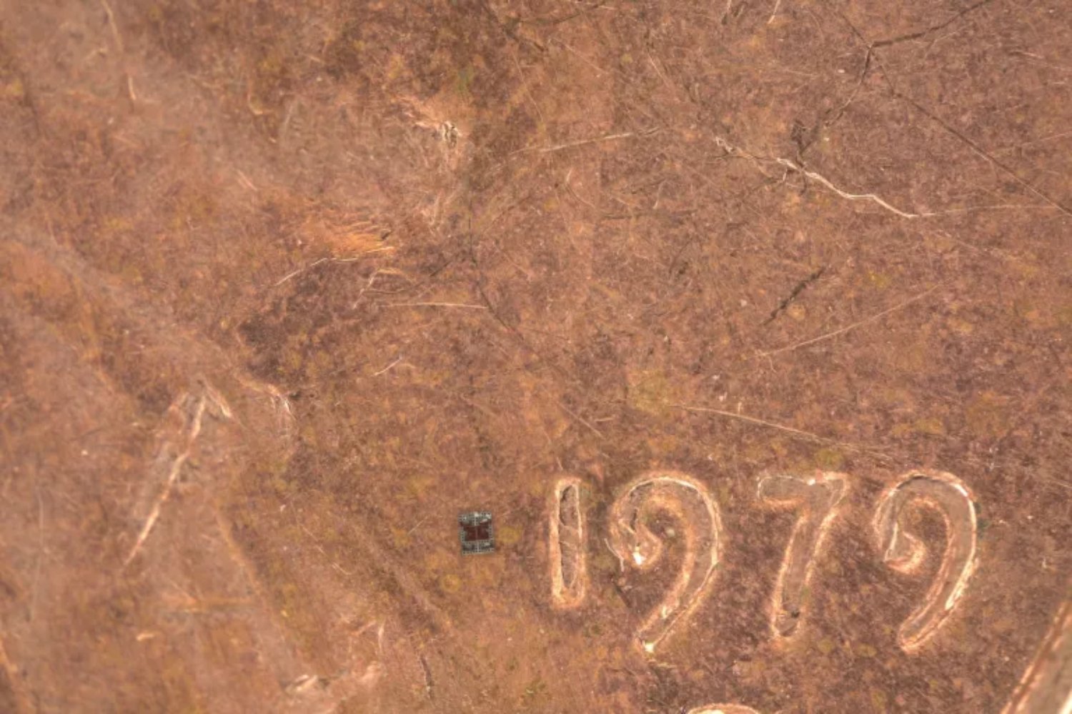 Más pequeños que un grano de sal y con “cerebro” propio. Así son los robots microscópicos que ya toman decisiones solos