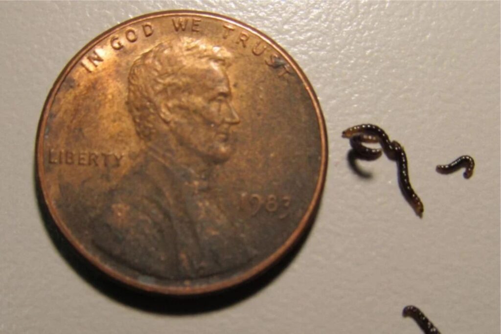 Diseño Sin Título (40)