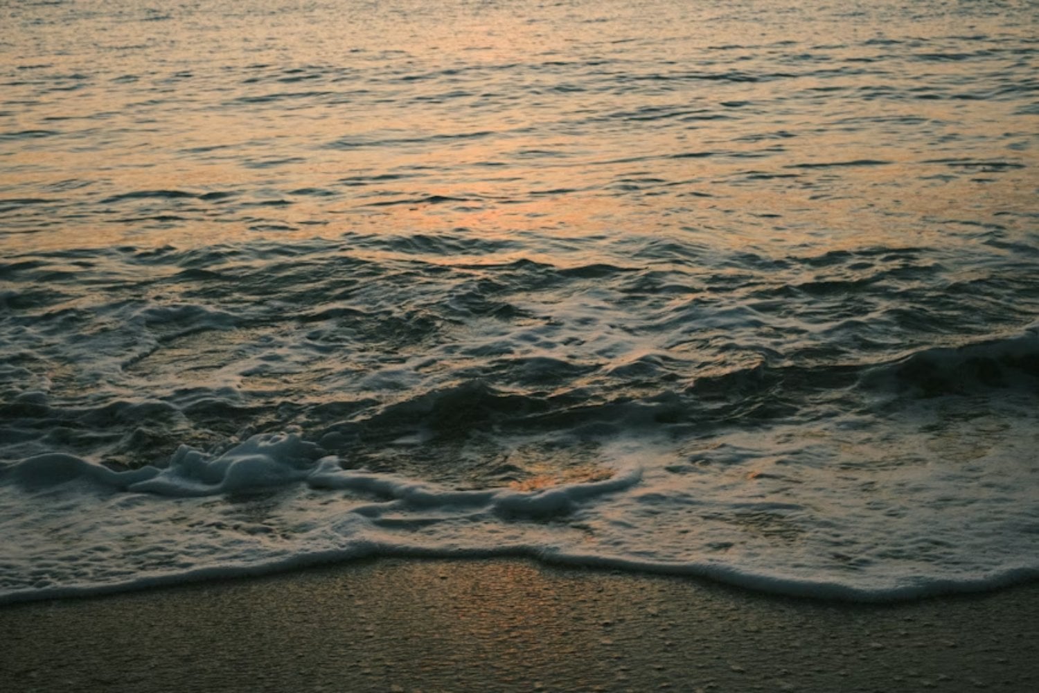 Nunca habíamos visto algo así en los océanos. El Mediterráneo ya es el “punto caliente” del planeta y se calienta un 20% más rápido que el resto del mundo, según nuevos datos
