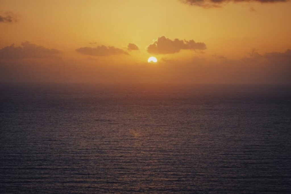 Nunca habíamos visto algo así en los océanos. El Mediterráneo ya es el “punto caliente” del planeta y se calienta un 20% más rápido que el resto del mundo, según nuevos datos