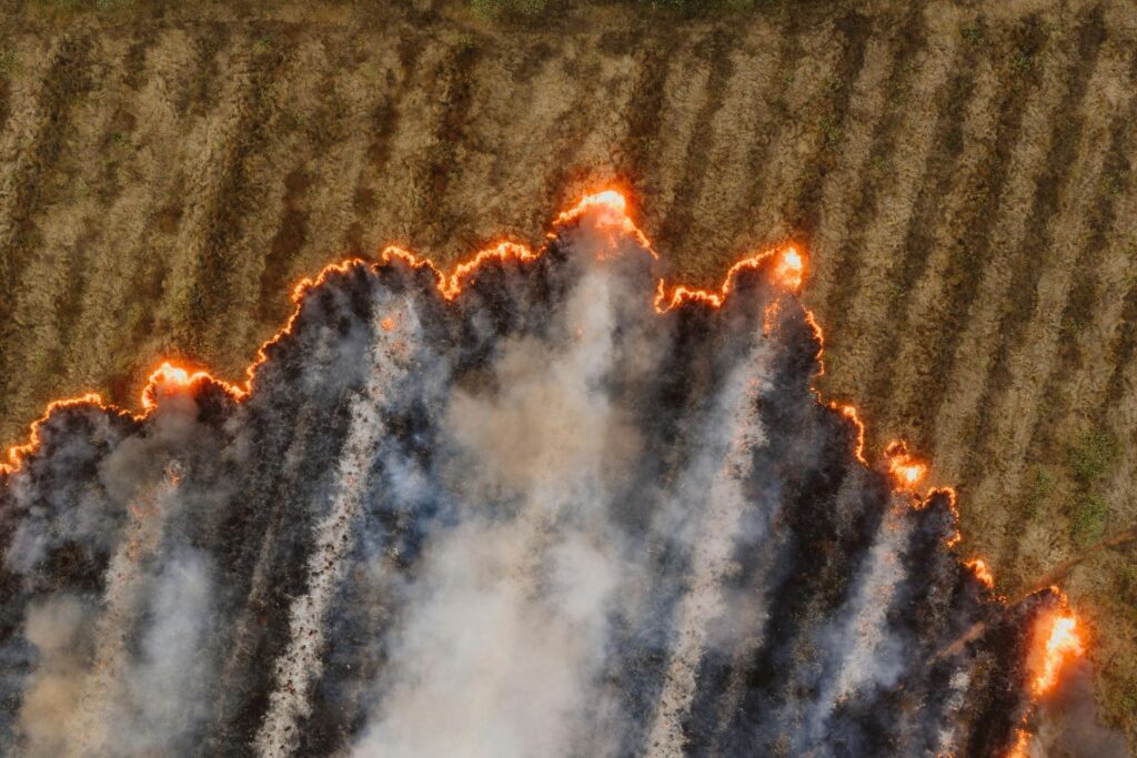 Diseño Sin Título (53)