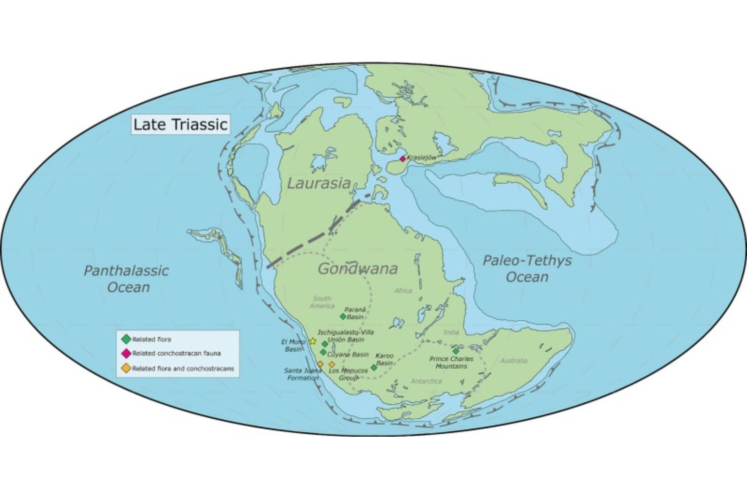 Lo que hoy es el desierto más árido del mundo fue un lago lleno de vida. Atacama acaba de revelar un fósil clave del antiguo Gondwana